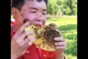【動画】大量の蜂に囲まれながら蜂蜜にがっつく熊のような男ｗｗｗｗｗ