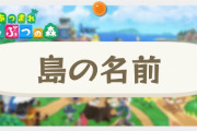 お前ら島の名前決めた？