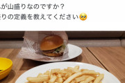 【悲報】X民、山盛りポテトを注文したらそんなに山盛りじゃなくて激怒