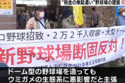 【悲報】静岡の新球団、ウミガメ保護の観点から大反対される