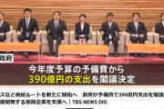 レアアース開拓のために日本政府が390億円支出を閣議決定😲