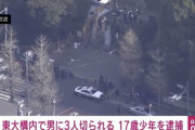 【特定】東京大学刃物刺傷事件、犯人17歳少年が通う高校がヤバ過ぎる・・・・・
