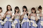 【乃木坂46】この選抜基準とは・・・