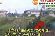【悲報】撮り鉄さん、今度は線路内に侵入して電車を止めてしまう…