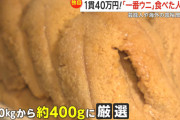 記者「1貫40万円のウニの握りどうでした？」食べた客「美味しかった」