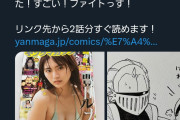 【悲報】海外で炎上した漫画家、更にパクり疑惑も発覚する……