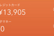【朗報】ワイ、給料が振り込まれ総資産が一時的に25万になる