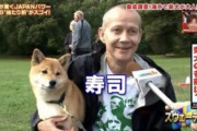 柴犬にはクソダサネームがよく似合う