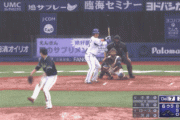 【GIF】ヤクルト・バレンティンの守備wwwwxwww