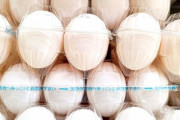 【悲報】「タマゴ１パックいくら」←これが答えられない奴はこどおじ