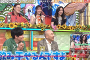 羽賀朱音って「ケンミンショー」の準レギュラーレベルで好評だったのに何故その番組で不評な段原瑠々と違って何者にもなれず引退したの？
