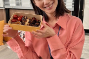 【画像】 女優の波瑠さんの手作り弁当ｗｗｗｗｗｗｗｗｗｗｗ
