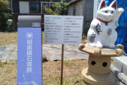 【画像】猫の島に来てたぜ