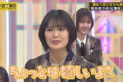 清宮レイ｢レイのこと好きすぎてすっごい鬼のメッセージ届くのちょっとは嬉しいよ｣【乃木坂46】