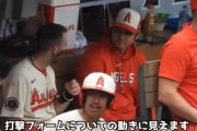 大谷翔平の弟分、エンゼルスのザック・ネトが初の20－20達成！！！