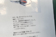 【画像】毒蜘蛛の注意喚起の張り紙→すぐ隣に本物がいたｗｗｗｗｗｗｗｗｗｗ