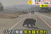 年の瀬にまだクマ出没…道路を横切り住宅の方向へ　冬眠はいつ？“クマの脅威”年越しの恐れも