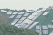 【動画】この光景を見て、太陽光発電が自然に優しいと騙されている人は目を覚ましてほしい。