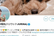【悲報】支店ナンバーワンのエース松井珠理奈が元欅坂にフォロワー数をぶっちぎられてしまう・・・