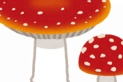 キノコを生で食べちゃだめな理由を解説してくれるヤムチャｗｗｗｗｗｗｗｗ