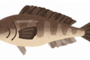 うまい魚あげてけ!!