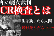 米国「中国共産党の介入確認！」カーディフ大学「犯罪安全保障研究所ﾚﾎﾟｰﾄ！」中国「SNSで偽情報流す！」なりすまし垢「議会侵入と暴動呼び掛ける！」日本「実質宣戦布告！」→