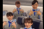 【動画】ANA公式のインスタが可愛すぎてフェミニストらが発狂中ｗｗｗ