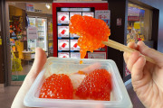 海外「勇気が要る！」日本のユニークな食品自販機にびっくり