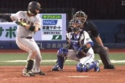 巨人・丸、とんでもないホームランを打つ