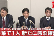 渡航歴無し、外国人との接触無し、非接客業、外出時はマスク、20代千葉県民←これで新型コロナ感染