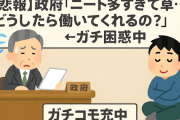 【悲報】政府「ニート多すぎて草…どうしたら働いてくれるの？」←ガチ困惑中