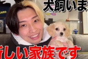 【悲報】最近のYouTuberヒカル「セクシー女優とコラボ！ギャルとデート！犬飼いました！」なお…