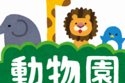 志村動物園の今後ｗｗｗｗ