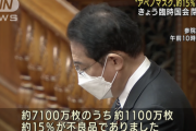 【悲報】岸田総理「20億円を使いアベノマスクを検査したところ、15％の1100万枚が不良品でした」