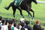 本当に謎だった馬、ライトバック