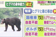 【画像】ヒグマが強すぎる。道民はよくこんなのと共存してるな・・・