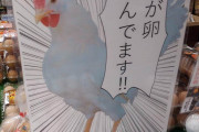 【画像】「私が卵産んでます！」作り手の顔見える斬新ポップが話題 売れ行き急増　16万6千「いいね」