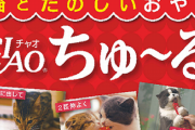 【画像】「ボロ家社宅で批判殺到の、いなば食品のプレスリリース。怪文書すぎて怖い」パシャッ　→　サイトのHTMLソースを調べた結果、とんでもない事実が発覚ｗｗｗｗ