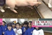 泣きながら飼ってた豚を食う小学生