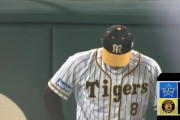 【悲報】阪神・佐藤輝明さん、やらかしてランニンググランドスラムを許す