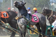 失踪の門倉健元コーチ、帯広市にばんえい競馬廃止を要望