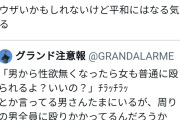 【画像】女さん｢去勢された犬猫は甘えん坊で穏やかになるんだし、人間も去勢すればいい｣→8.9万いいねｗｗｗｗｗｗ