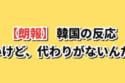【朗報】韓国人「悔しいけど、あの日本ブランドの代わりがない…」