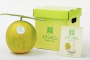 海外「奇妙だ」日本で開発された新しい果物に海外興味津々！(海外の反応)