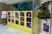 指原莉乃卒業コンサートDVD発売、パネル展示や衣装展のある店舗も…