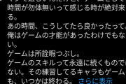 【悲報】インフルエンサー「ゲームしてる時間が勿体無いと感じる時が必ず来る。所詮暇つぶし。練習してるゲームもキャラもいつかは終わる