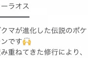 ポケモン新作「一撃の型！」「連撃の型！」鬼滅ガイジ「！？」ｼｭﾊﾞﾊﾞﾊﾞﾊﾞ