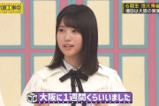 増田家のエビがこちらです・・・【増田三莉音】【乃木坂工事中】【乃木坂46】