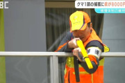 長野県がクマの捕獲に1頭あたり8000円の報奨金を支給へ！