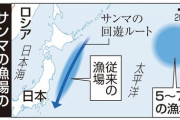 「サンマが不漁！価格が大高騰！」庶民「高くつくわ～きついわ～」←これ